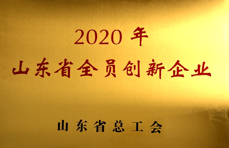 山東省全員創(chuàng  )新企業(yè)